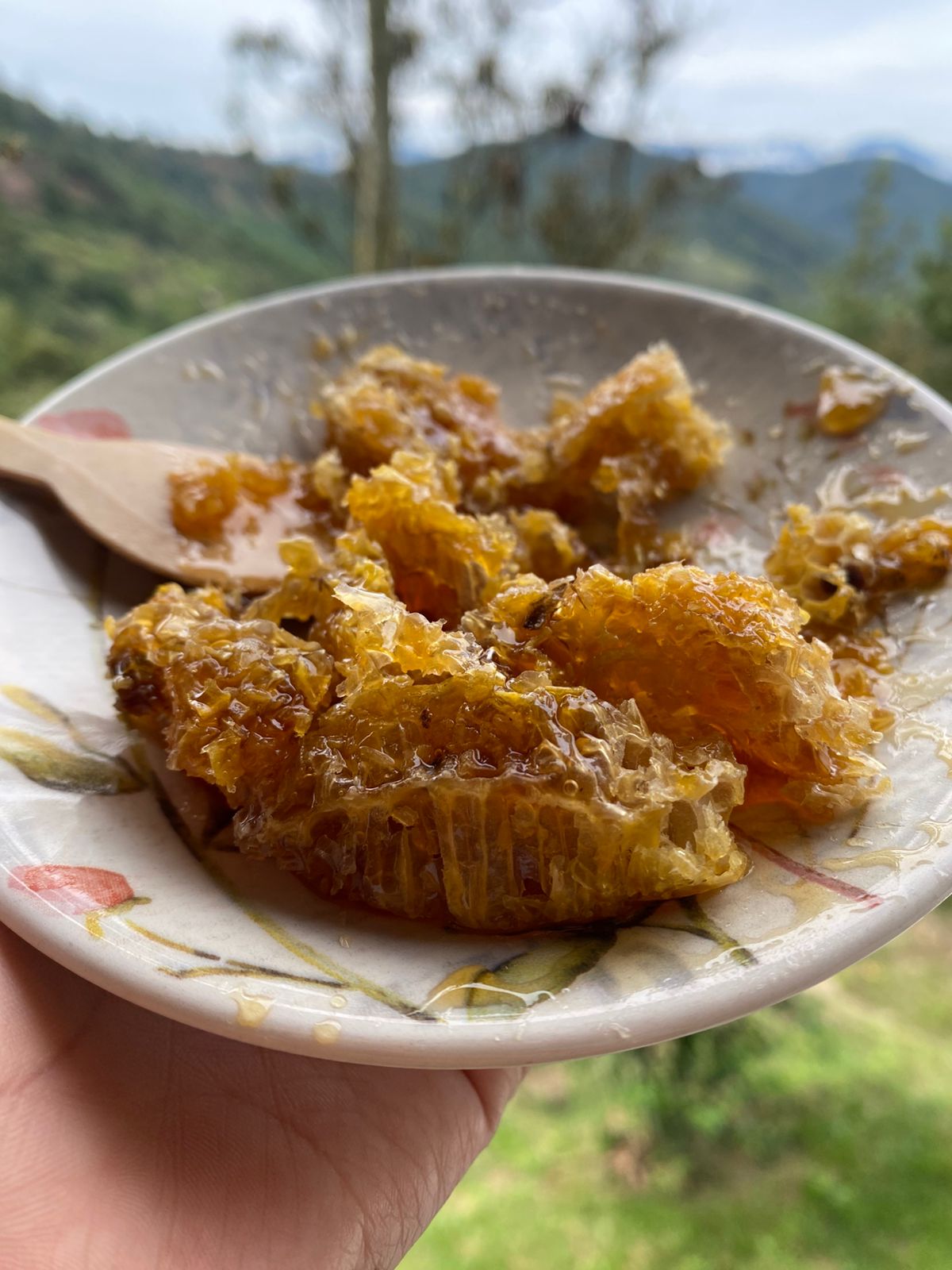Platos típicos
